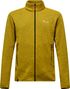 Polaire Salewa Puez Rocca Polarlite Vert Homme