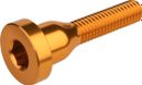 Vis de capot de direction Burgtec Top Cap Bolt Orange