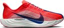 Nike Pegasus Plus Women's Running Shoes in Red/Gray
