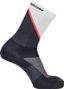 Chaussettes Salomon Pulse Crew Blanc/Gris