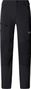 Pantalon Homme The North Face Speedlight Regular Gris 