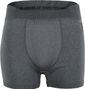 Boxer Odlo Performance Light Eco Gris Homme