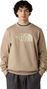 Felpa The North Face Drew Peak Beige Uomo