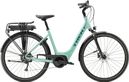 Vélo de Ville Électrique Trek Verve+ 2 Lowstep Shimano Acera/Altus 9V 500 Wh Vert Sauge