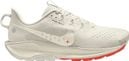 Scarpe Nike Pegasus Trail 5 Beige Uomo