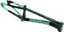 Cadre Stay Strong For Life V5.1 Cruiser Tiffany/Noir