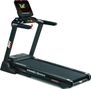Treadmill RS800 Multimedia G6176TFT Touchscreen FTMS