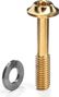 Remklauwbout Flat Mount Titanium M5 Torx 25 met ring absoluutBLACK Goud