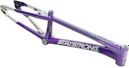 Cadre Stay Strong For Life V5.1 Expert Violet/Silver