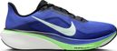 Nike Pegasus 42 Running Shoes for Men in Blue/Green