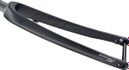 Ritchey WCS Carbon Disc Straßengabel | 12x100mm | 46mm Versatz