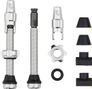 Wolf Tooth Tubeless Valves with Clik Valve Silver