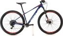 Produit reconditionné · Focus Raven Evo GX / Vélo VTT | Très bon état