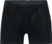 Boxer Icebreaker everyday wfly 175