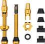 Valves Tubeless Wolf Tooth avec Clik Valve Or