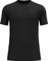 Baselayer Short Sleeve Odlo Natural Merino 160 Black
