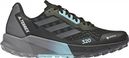 Trailrunning-Schuhe adidas Terrex Agravic Flow 2 GTX Schwarz Blau Damen