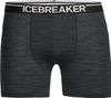 Boxer Icebreaker Anatomica Noir Homme