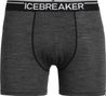 Boxer Icebreaker Anatomica Boxers Gris