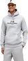 Felpa con cappuccio Peak Performance Original Grigio Uomo