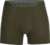 Boxershorts Icebreaker Anatomica Grün