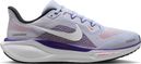 Nike Pegasus 41 hardloopschoenen voor dames, grijs/paars