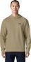 Patagonia Daily Hoody Sweatshirt, Green, Men's