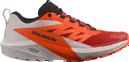 Salomon Sense Ride 5 Trailschoenen Oranje / Wit