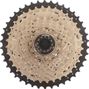 EDGE Cassette 10 vitesses CSM6010  - Argent / noir