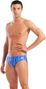 Arena Multicolor Stripes Men's Swim Briefs 