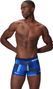 Speedo Men's Valmilton Blue Swim Trunks 