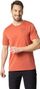 Odlo Ascent 365 Linear Short Sleeve Jersey Red