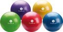 Ballon pédagogique boîte Sveltus