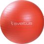 Gymball boîte Sveltus 55cm