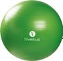 Gymball boîte Sveltus 65cm