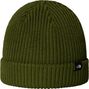 Bonnet Unisexe The North Face Fisherman Vert