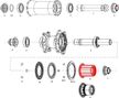 Corps de Roue Libre Zipp Campagnolo pour moyeu Cognition NSW