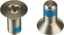 Sram Titanium Torx T25 (5 mm) voor Flat Mount remklauw/adapter