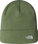 Gorra The North Face Norm Verde