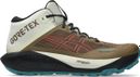 Chaussures Trail Asics Gel-Trabuco MT GTX Marron Homme