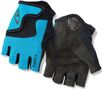 Giro Bravo Kids Korte Handschoenen Blauw / Zwart