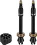 Ein Paar Topeak TurboFlow Tubeless-Ventile, schwarz