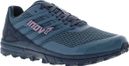 Women's Trail Running Shoes Inov-8 TrailTalon 290 V2 Blauw / Roze