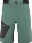 Short Millet Wanaka Fast Vert Homme