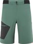 Millet Wanaka <p>Fast</p>Shorts Grün Herren