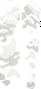 Kit di protezione All Mountain Style Basic Camo White
