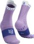 Compressport Pro Racing Socks v4.0 Trail Mauve/Blue