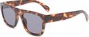 Lunettes Unisexe Vans Squared Off Marron