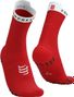 Compressport Pro Racing Socks v4.0 Run High Rot/Weiß