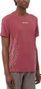 Herenshirt Salomon Sense Aero Graphic met korte mouwen Rood